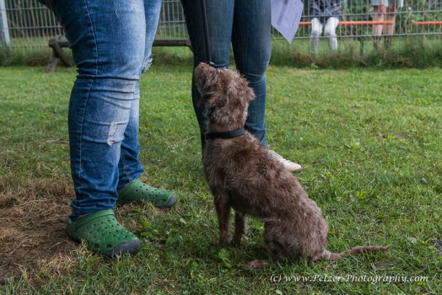 THWI_80D5383_04Sep2016