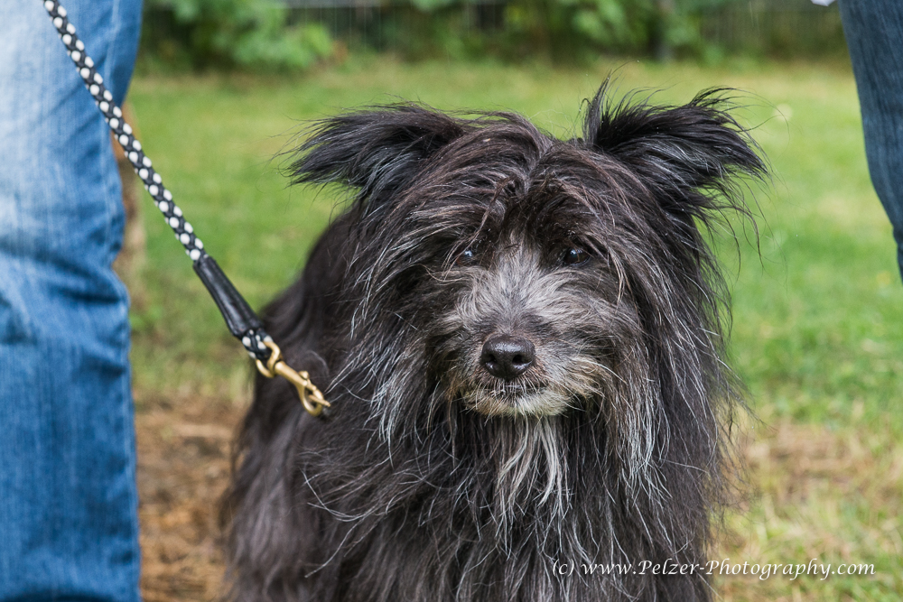 THWI_80D5408_04Sep2016