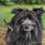 THWI_80D5408_04Sep2016