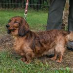 THWI_80D5420_04Sep2016