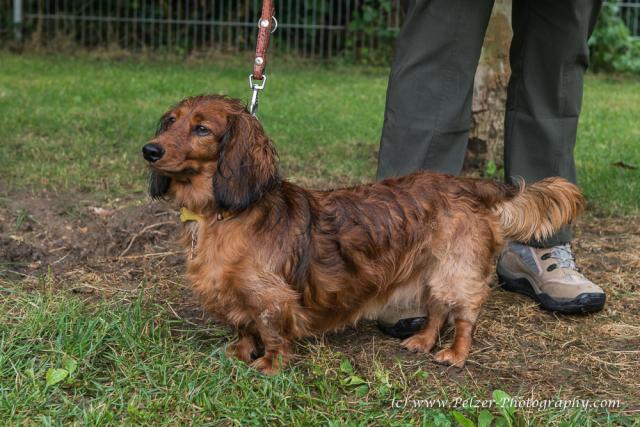 THWI_80D5420_04Sep2016