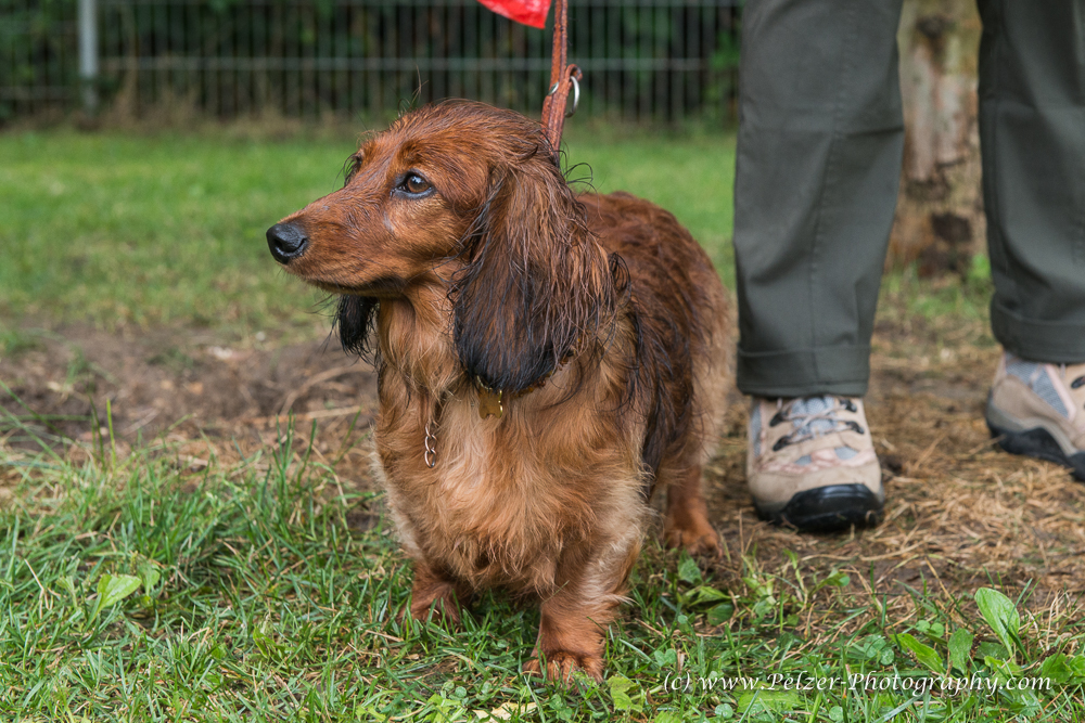 THWI_80D5433_04Sep2016