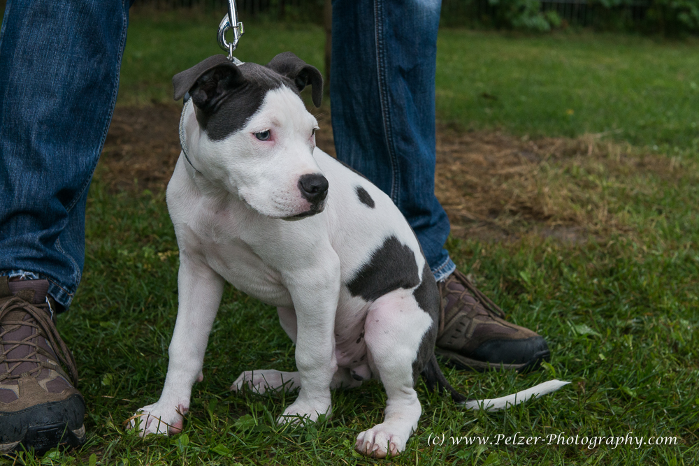 THWI_80D5440_04Sep2016