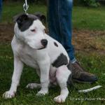 THWI_80D5440_04Sep2016