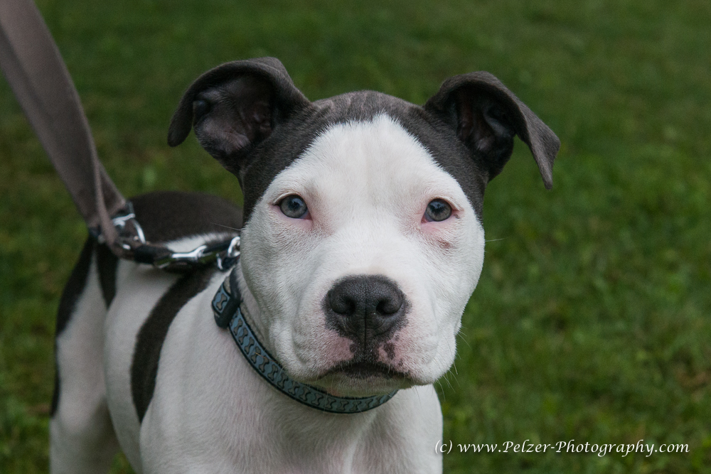 THWI_80D5455_04Sep2016