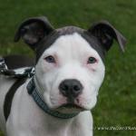 THWI_80D5455_04Sep2016