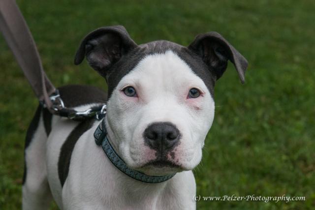 THWI_80D5455_04Sep2016