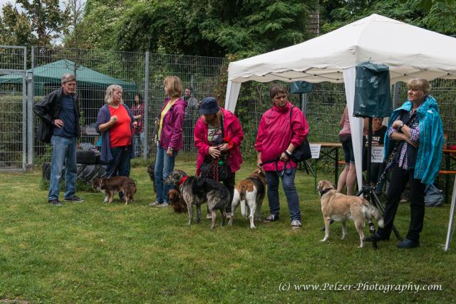 THWI_80D5462_04Sep2016