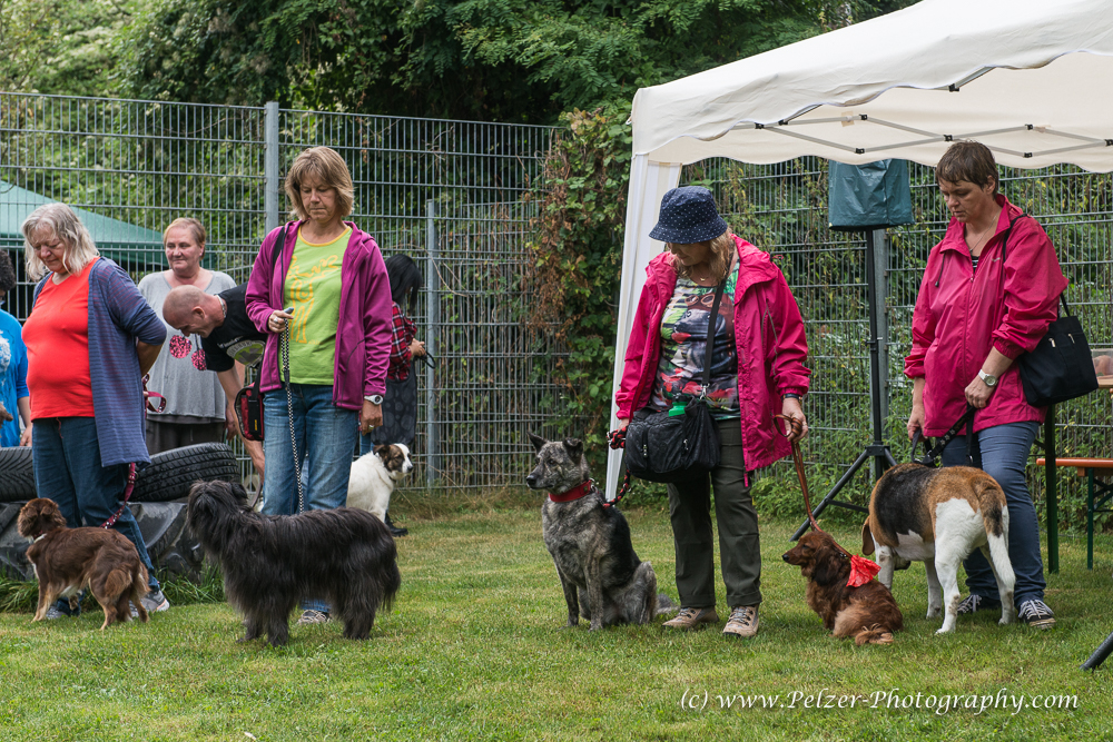 THWI_80D5466_04Sep2016