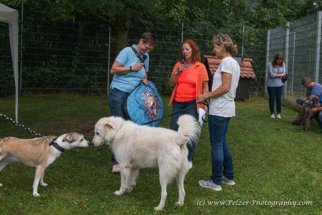 THWI_80D5490_04Sep2016