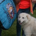 THWI_80D5492_04Sep2016