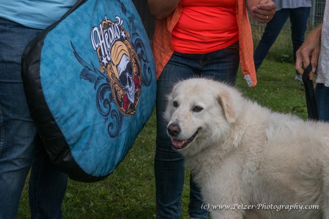 THWI_80D5492_04Sep2016