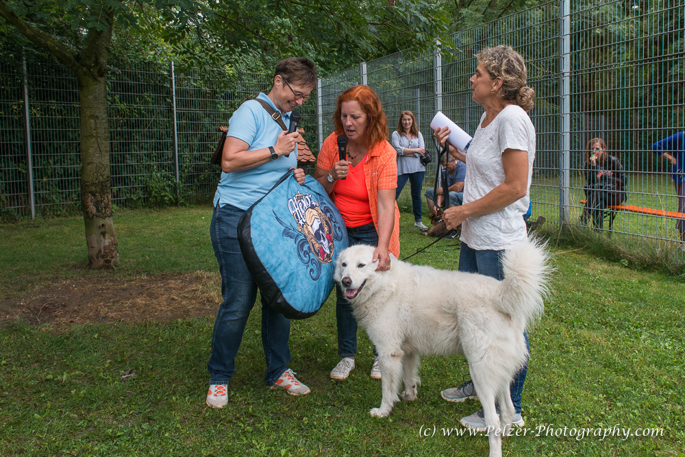 THWI_80D5494_04Sep2016