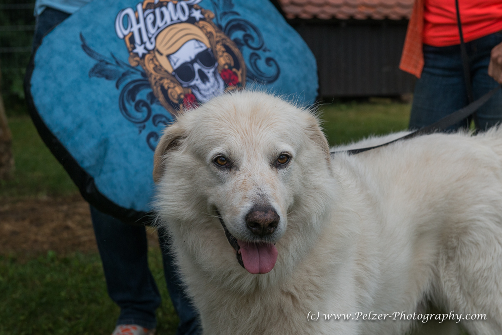 THWI_80D5504_04Sep2016