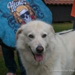 THWI_80D5504_04Sep2016