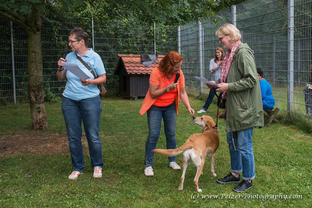 THWI_80D5506_04Sep2016