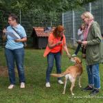 THWI_80D5506_04Sep2016