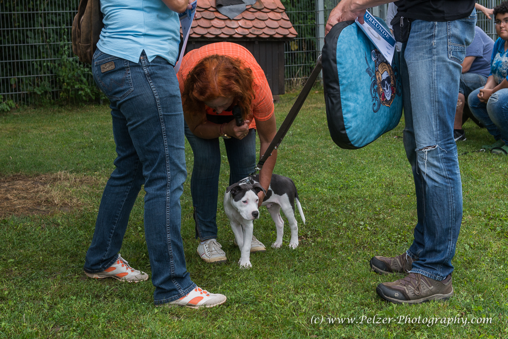 THWI_80D5536_04Sep2016