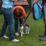 THWI_80D5536_04Sep2016