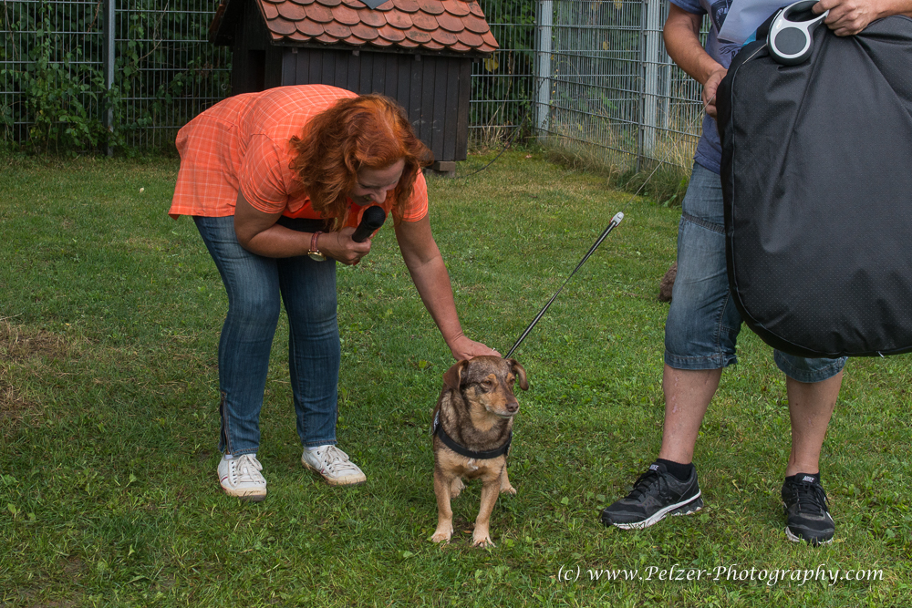 THWI_80D5546_04Sep2016