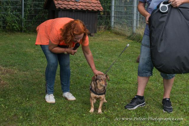 THWI_80D5546_04Sep2016