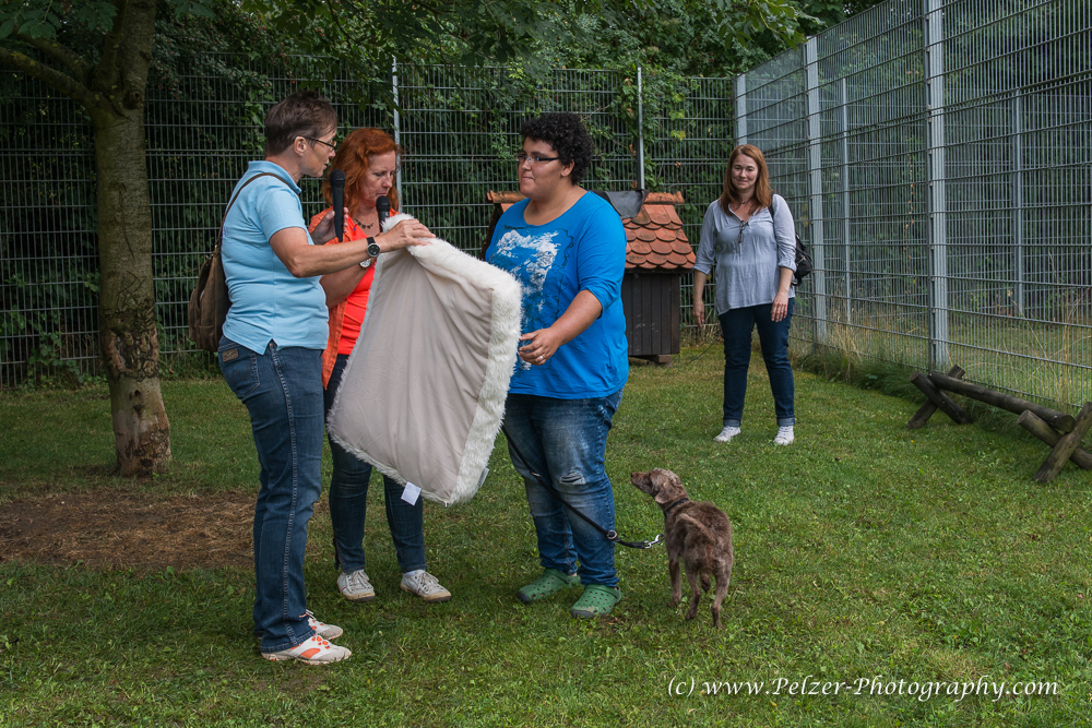 THWI_80D5554_04Sep2016