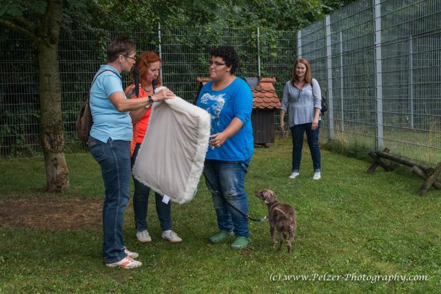 THWI_80D5554_04Sep2016