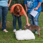 THWI_80D5560_04Sep2016