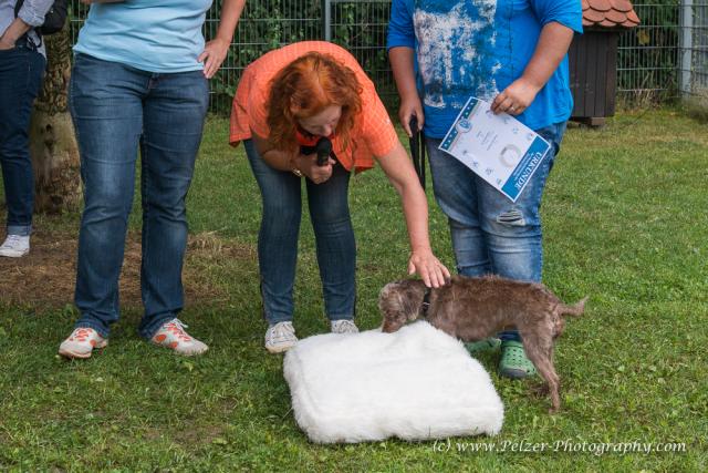 THWI_80D5560_04Sep2016