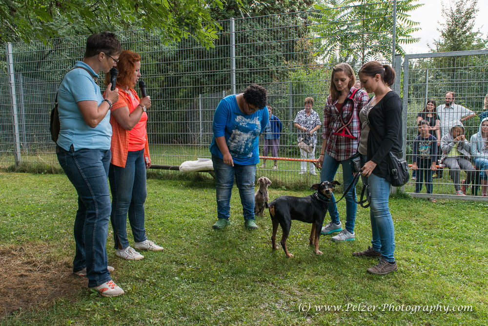 THWI_80D5571_04Sep2016