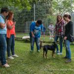 THWI_80D5571_04Sep2016