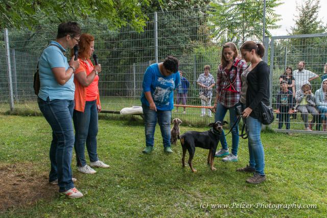 THWI_80D5571_04Sep2016