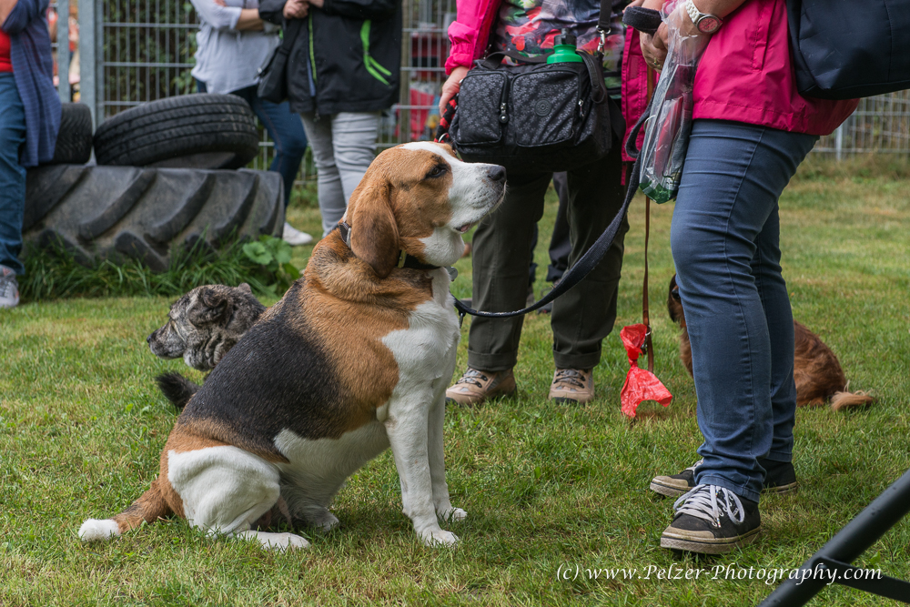 THWI_80D5589_04Sep2016