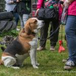 THWI_80D5589_04Sep2016