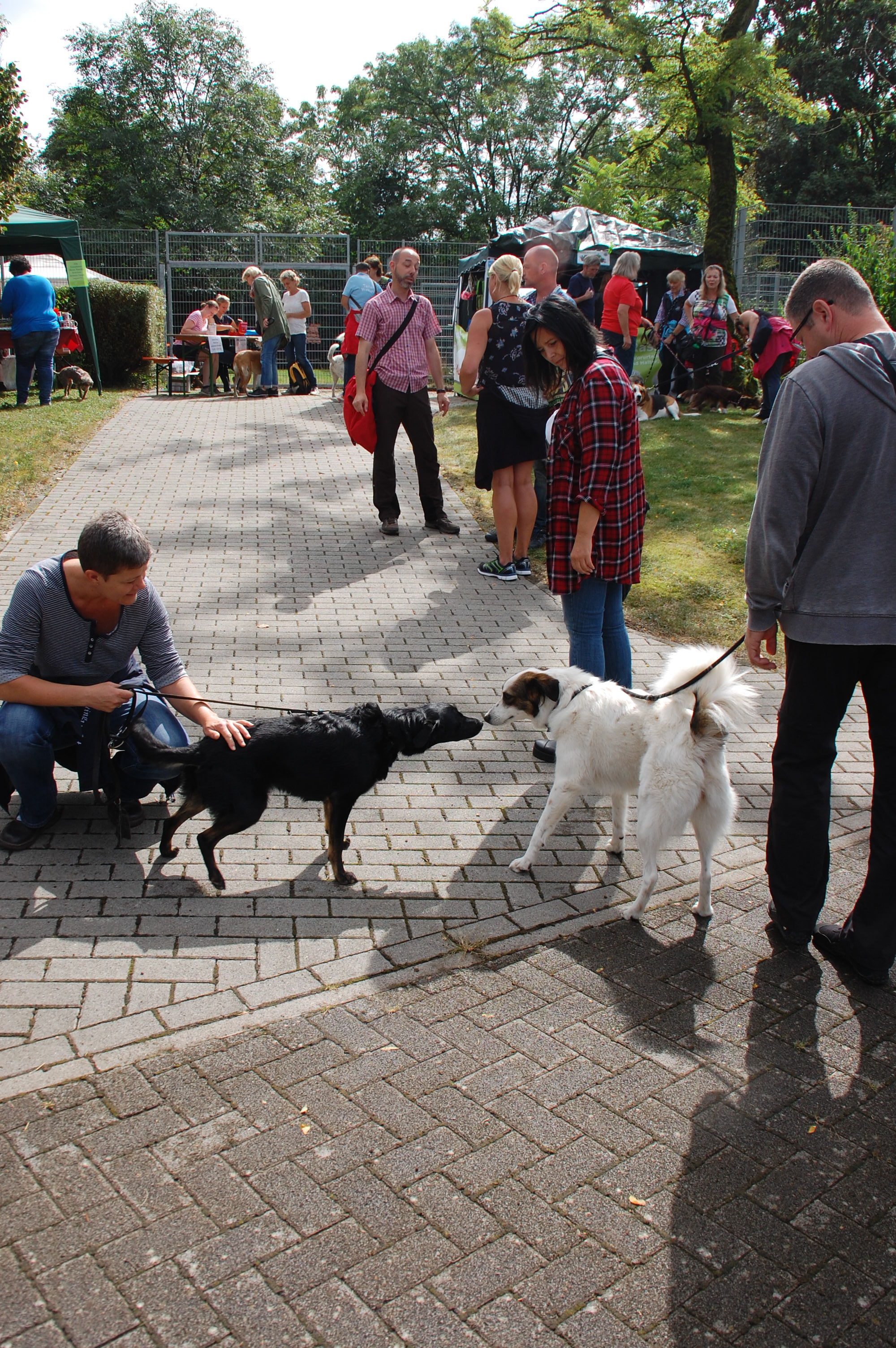 tag der offenen tuer2016 (10)