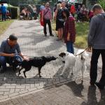 tag der offenen tuer2016 (10)