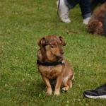 tag der offenen tuer2016 (100)