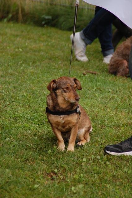 tag der offenen tuer2016 (100)