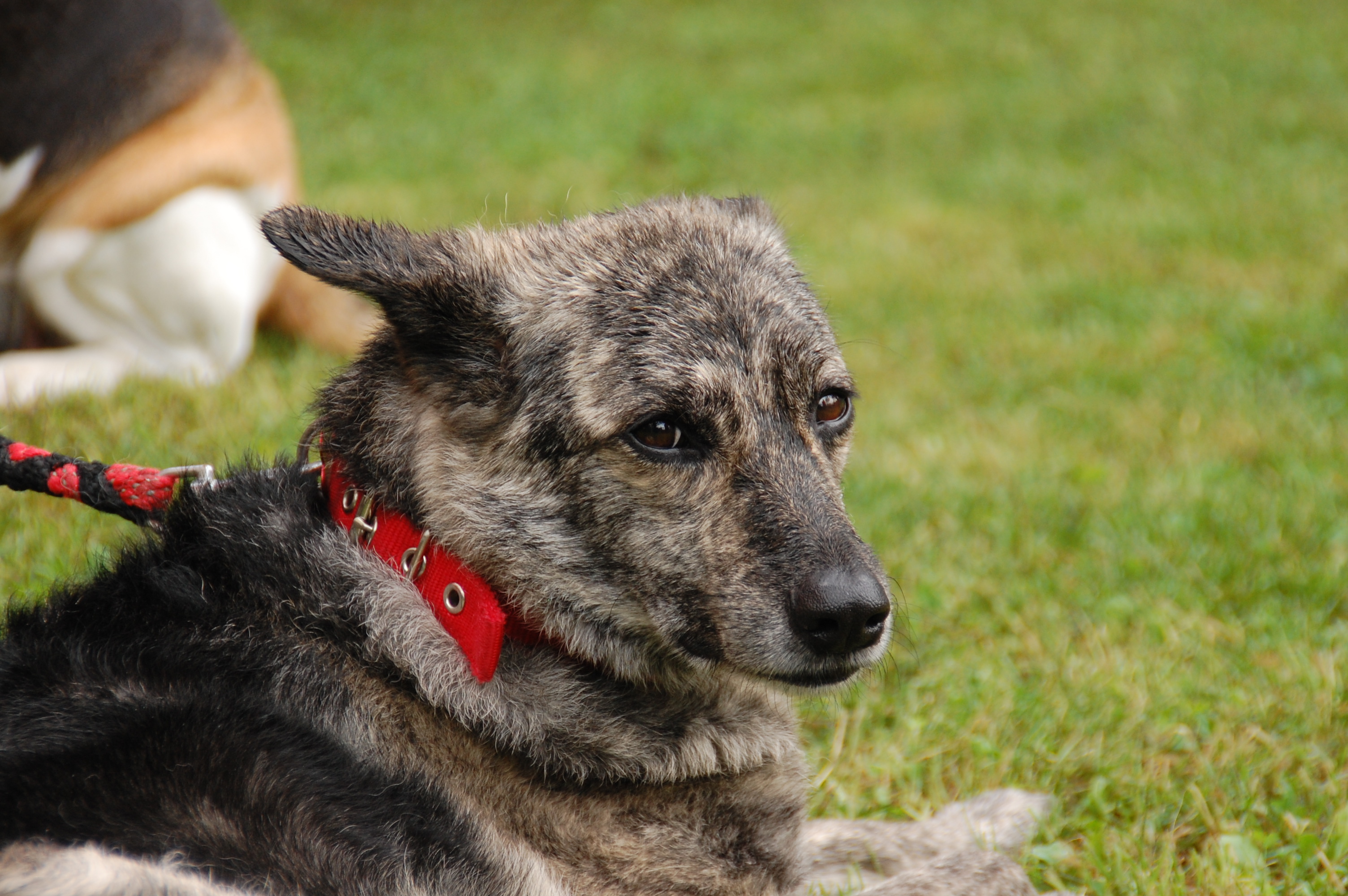 tag der offenen tuer2016 (101)