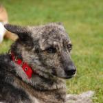 tag der offenen tuer2016 (101)