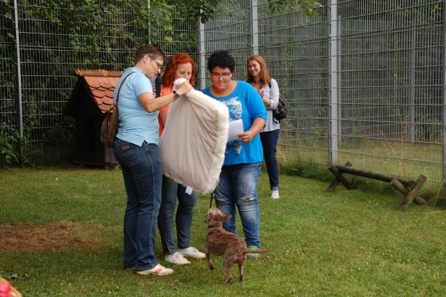 tag der offenen tuer2016 (102)