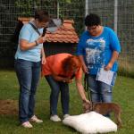 tag der offenen tuer2016 (103)