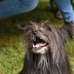 tag der offenen tuer2016 (105)