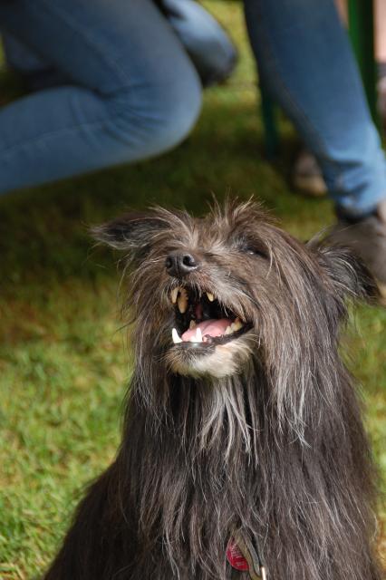 tag der offenen tuer2016 (105)