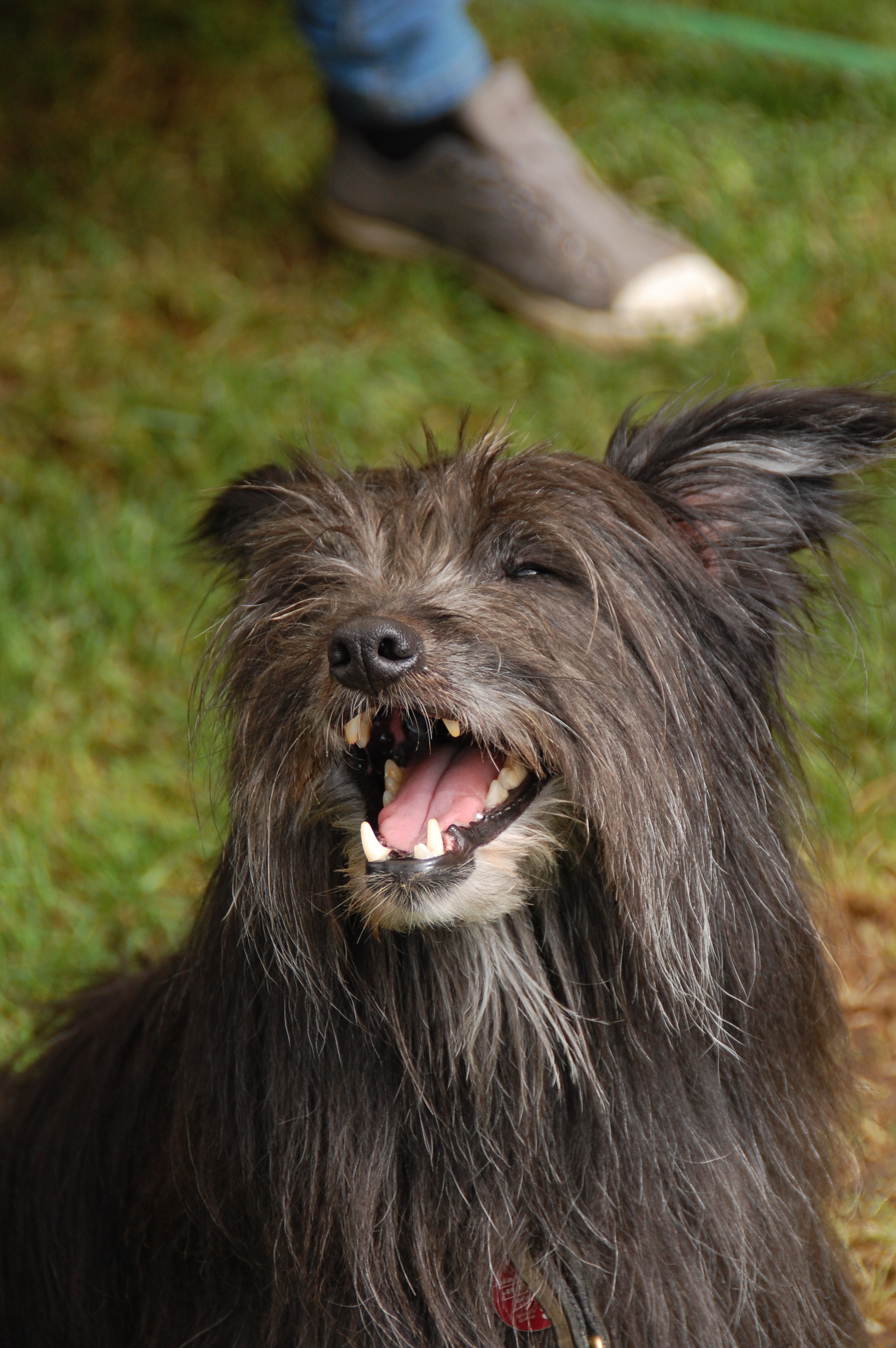 tag der offenen tuer2016 (106)