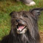 tag der offenen tuer2016 (106)