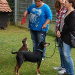 tag der offenen tuer2016 (107)