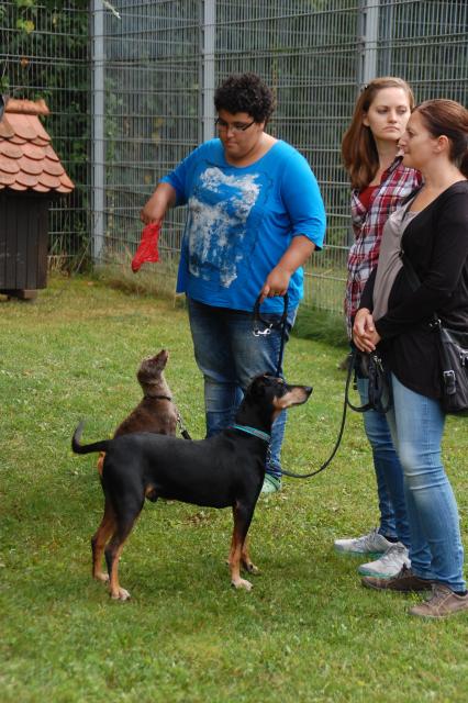 tag der offenen tuer2016 (107)