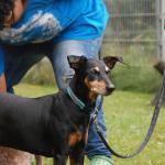 tag der offenen tuer2016 (108)