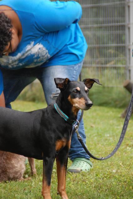 tag der offenen tuer2016 (108)